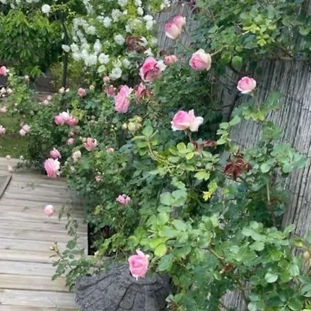 Jasmin - Charming & Cosy *