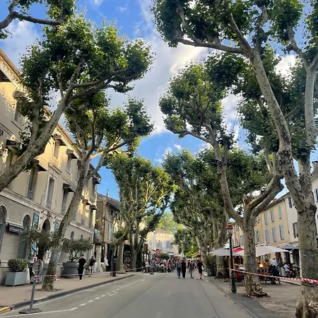 Jasmin - Charming & Cosy Saint-Remy-de-Provence