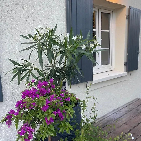 Jasmin - Charming & Cosy Villa *